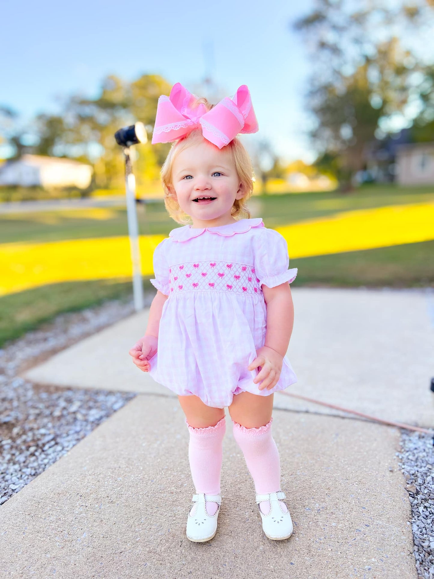Pink Gingham Bows Bubble