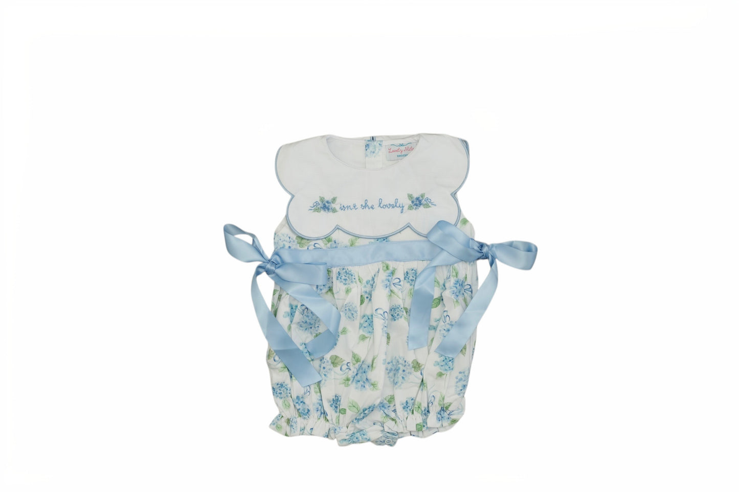 Isn’t She Lovely Hydrangea Bubble