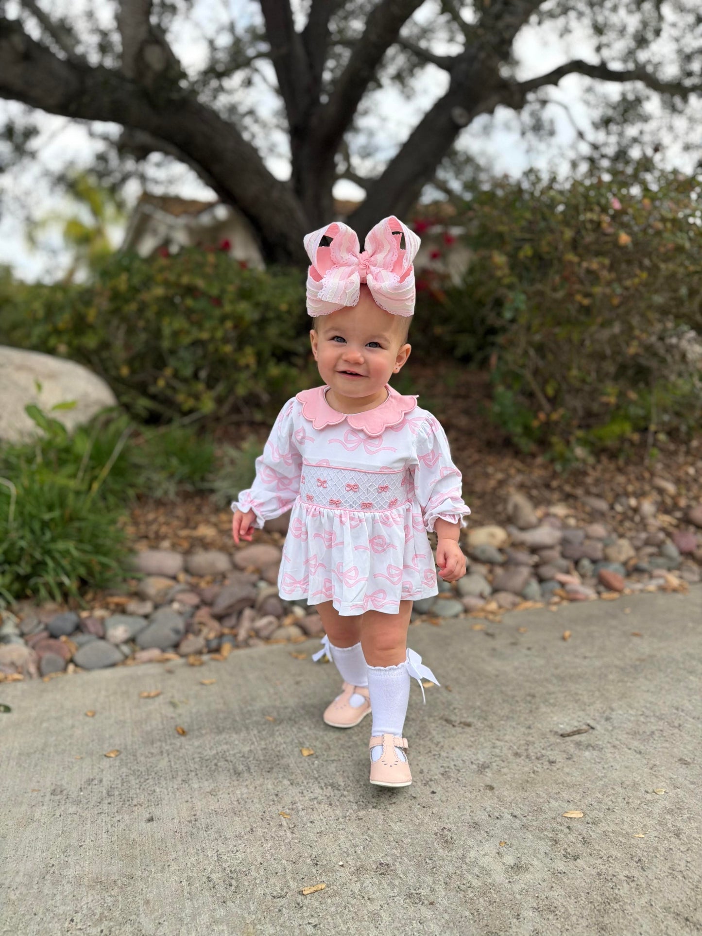Lovely Bow Set
