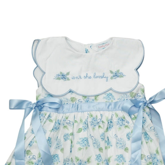 Isn’t She Lovely Hydrangea Bubble